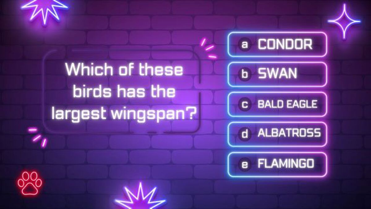 Win-in-8 Trivia image number null